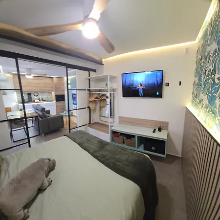 Mocahomes Congreso Downtown Torremolinos