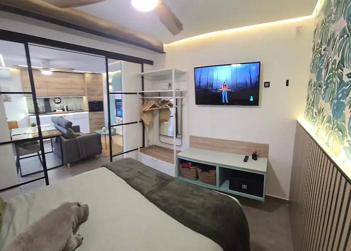 Congreso Down Town 토레몰리노스